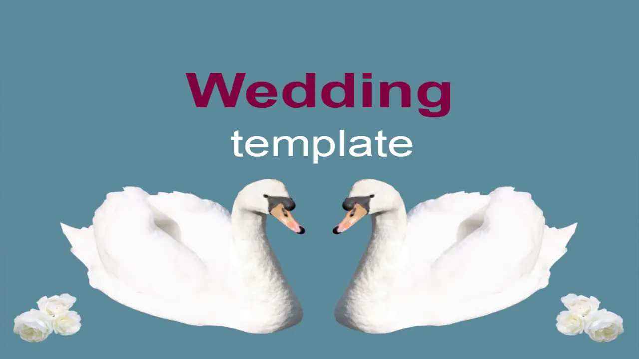 Swans Template