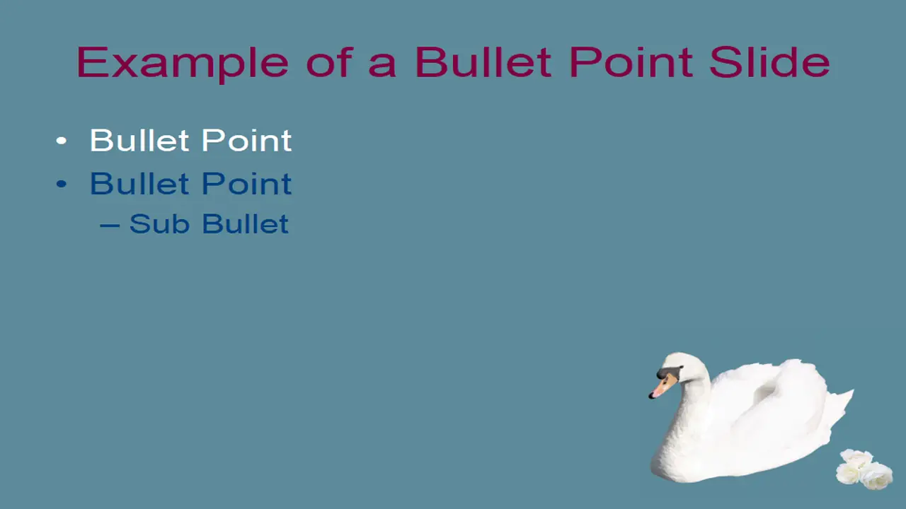Swans Template