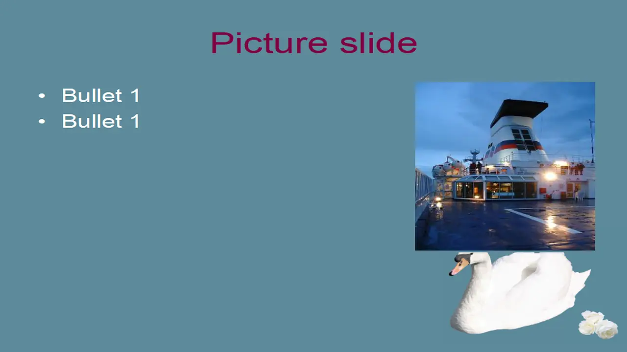 Swans Template