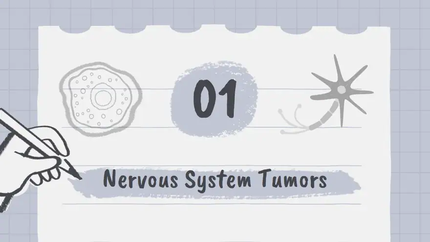 Tumors of Nervous System Slides