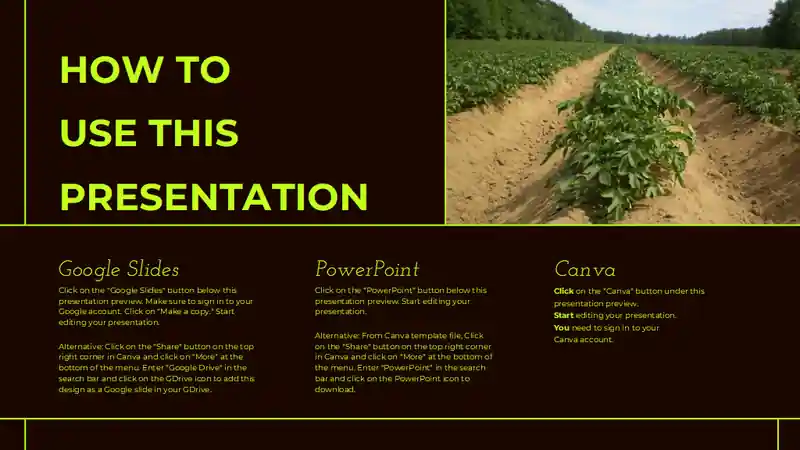 Minimalistic Agri-Food Industry Company Profile Slides