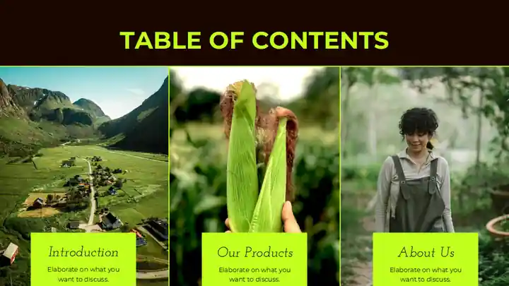 Minimalistic Agri-Food Industry Company Profile Slides