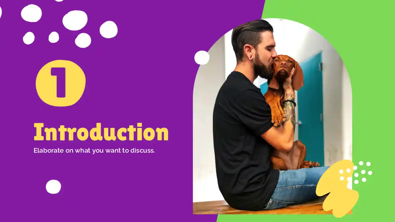 Pet Insurance Company Profile Slides