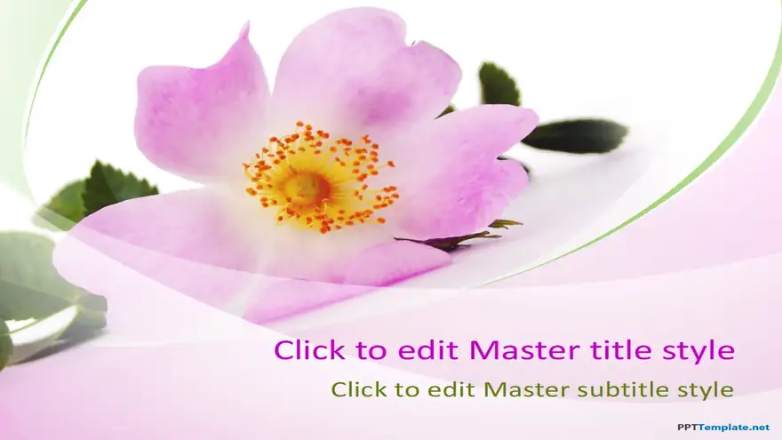 10036-03-beautiful-flowers-ppt-template