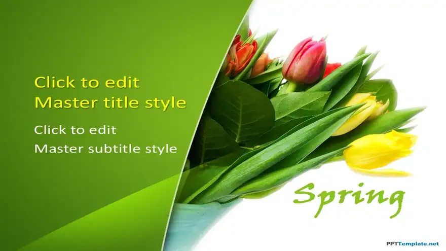 10217-flower-tulips-ppt-template-0001