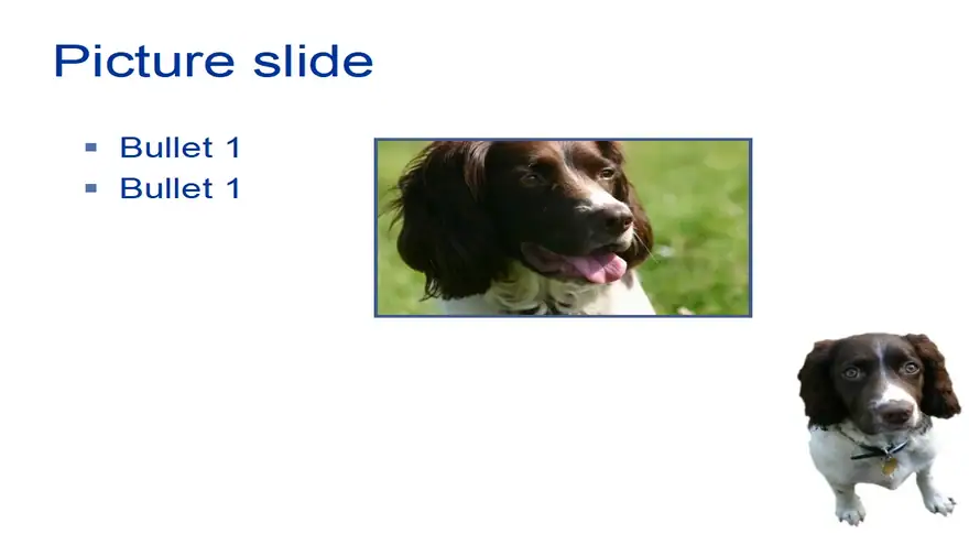 A Dog’s Life Template