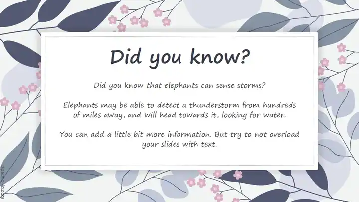 Amelia free PowerPoint and Google Slides template with floral backgrounds.