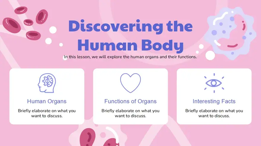 Anatomy of the Heart