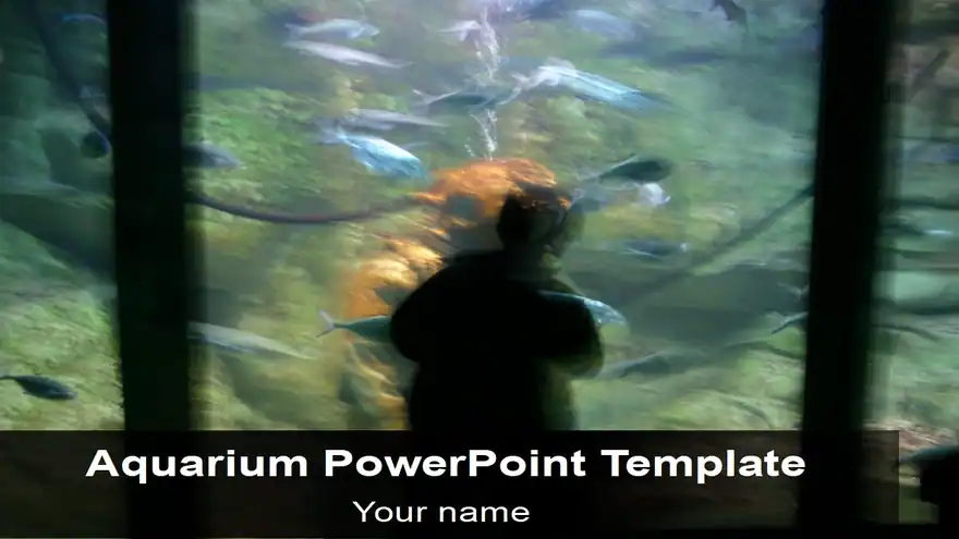Aquarium Template