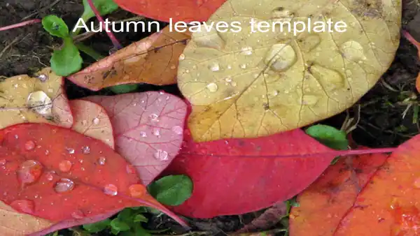 Autumn Template
