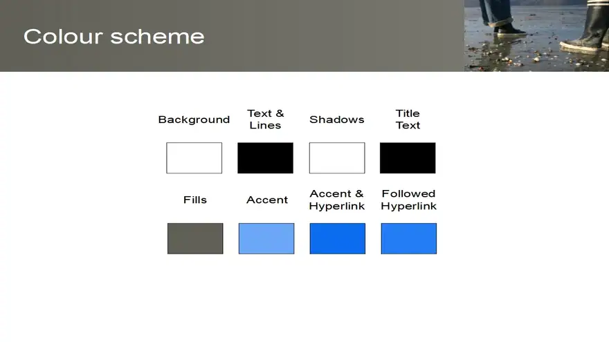 Beachcombing Background Template