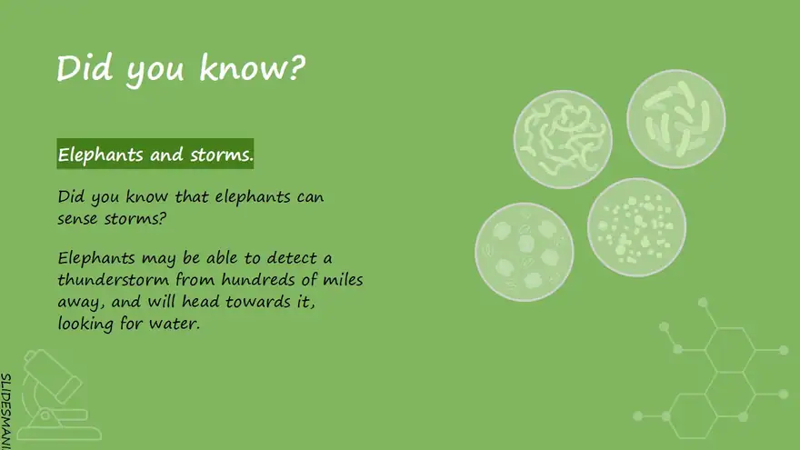 Biology free presentation template.