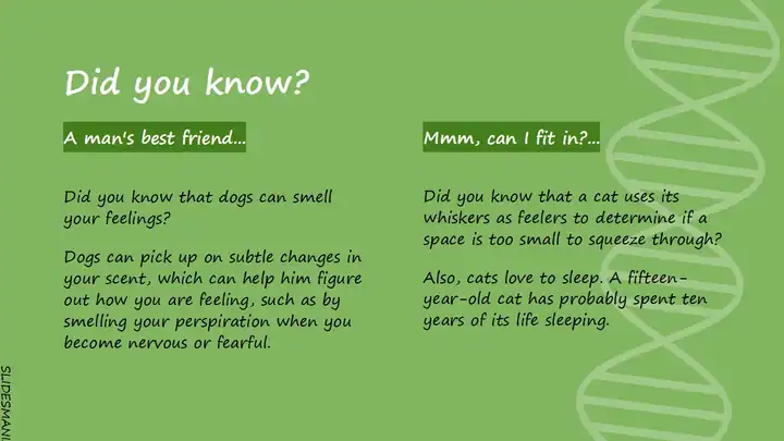 Biology free presentation template.