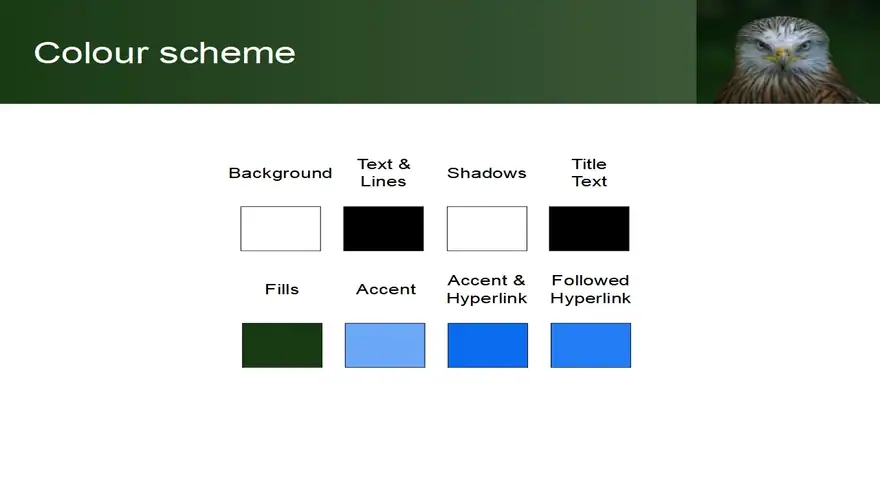 Bird of Prey PowerPoint Template