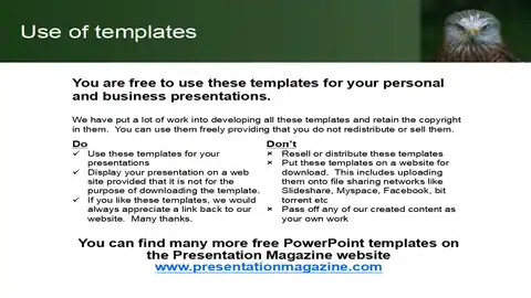 Bird of Prey PowerPoint Template
