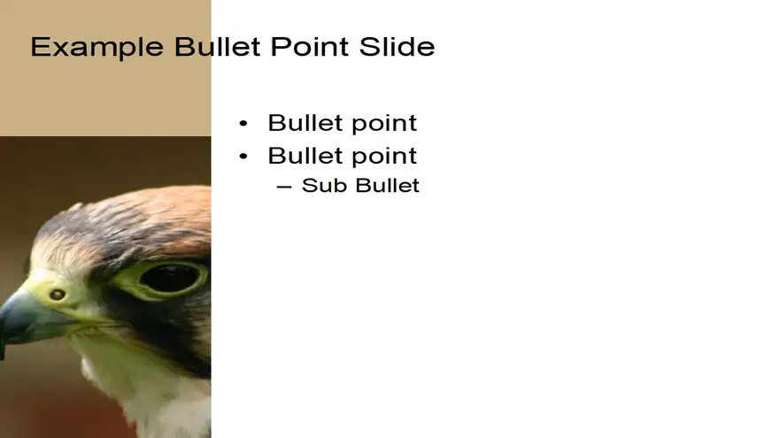 Bird PowerPoint Template