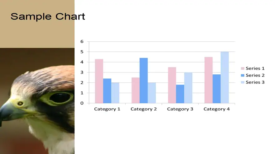 Bird PowerPoint Template