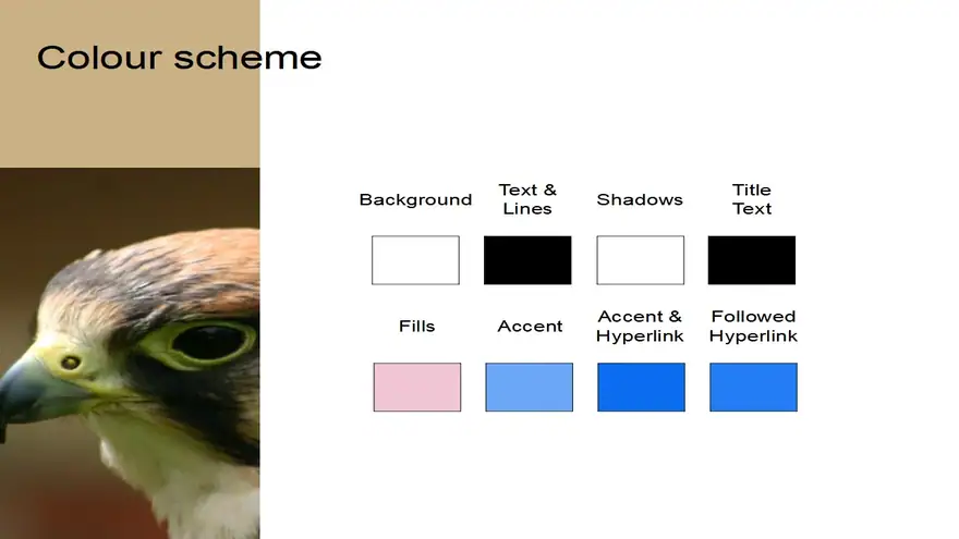 Bird PowerPoint Template
