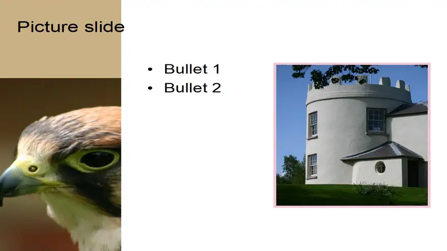 Bird PowerPoint Template