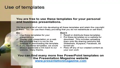 Bird PowerPoint Template