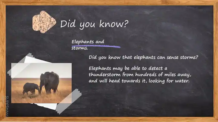 Blackboard slides background template.