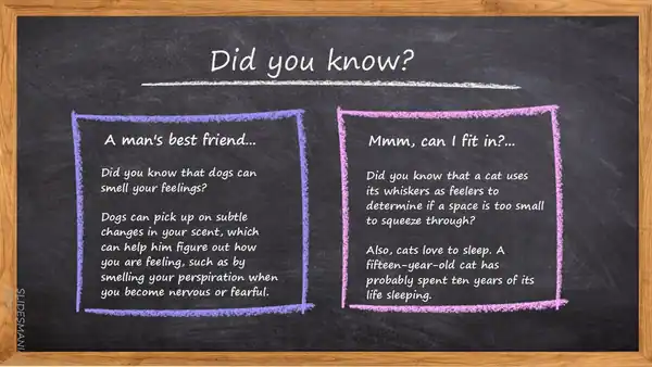Blackboard slides background template.