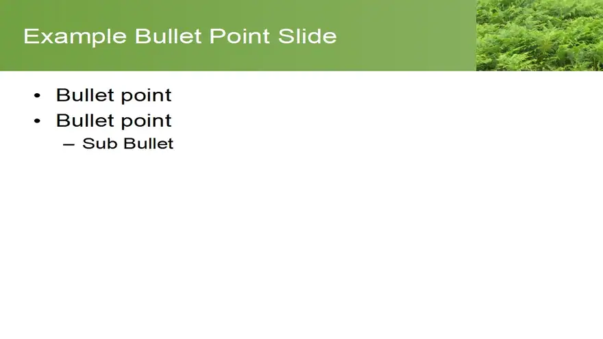 Bracken PowerPoint Template
