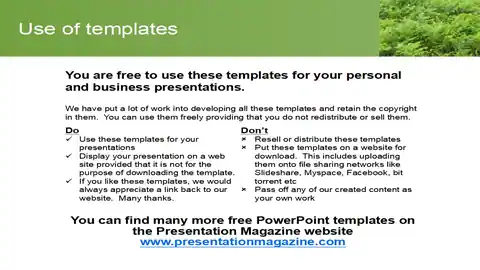Bracken PowerPoint Template