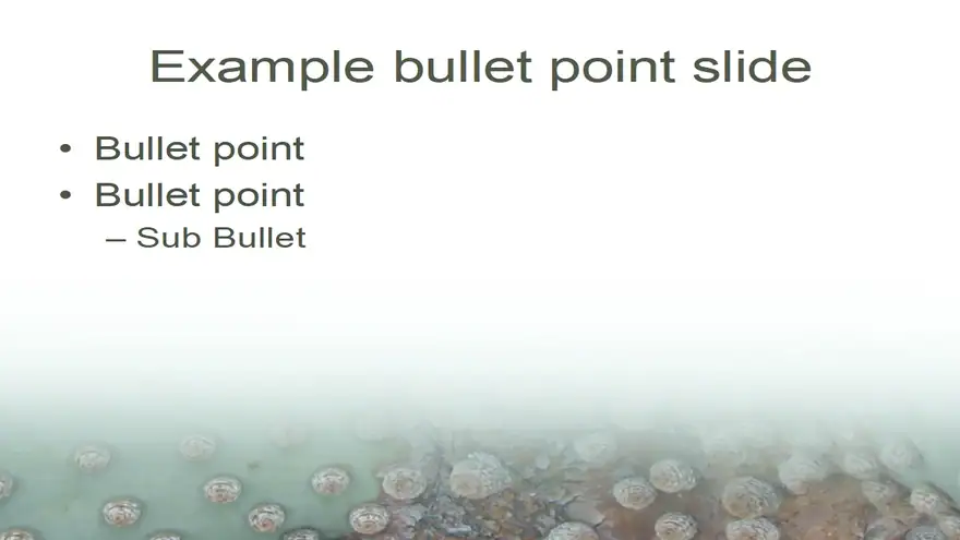 Cactus PowerPoint Template 2