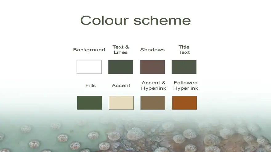 Cactus PowerPoint Template 2