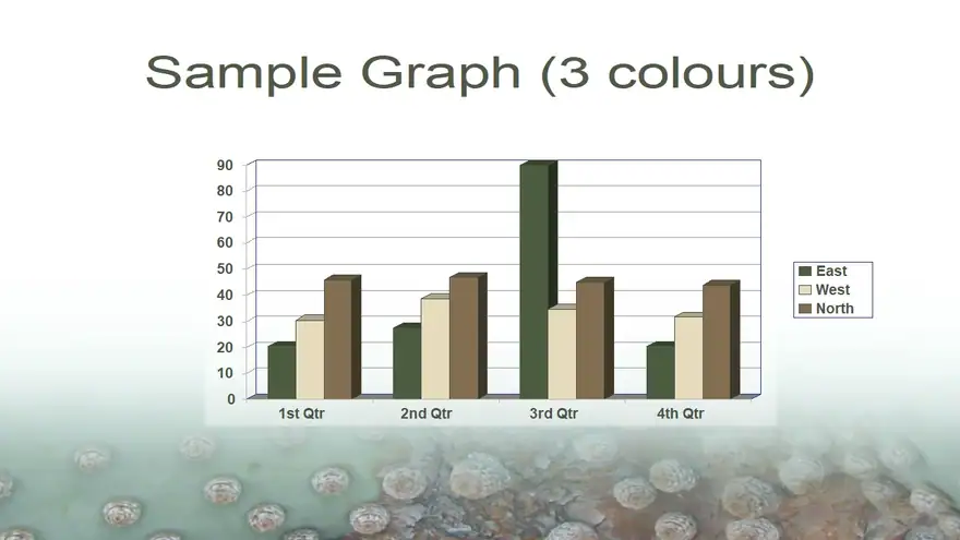 Cactus PowerPoint Template 2
