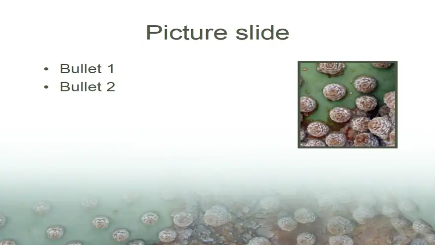 Cactus PowerPoint Template 2