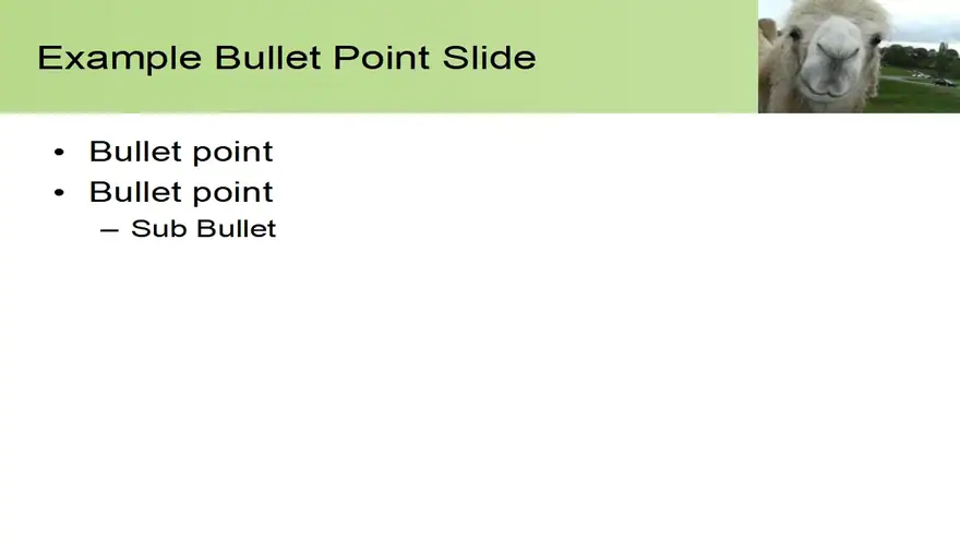 Camel PowerPoint Template