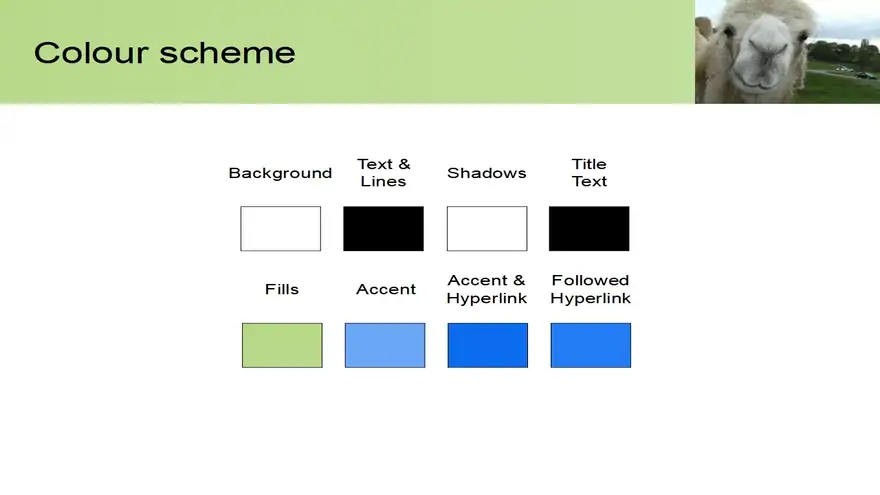 Camel PowerPoint Template