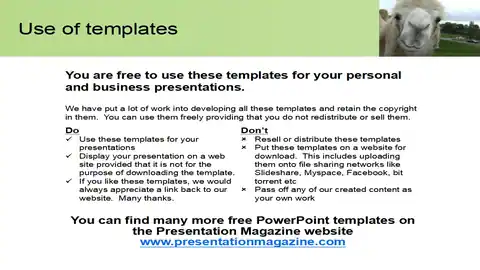 Camel PowerPoint Template
