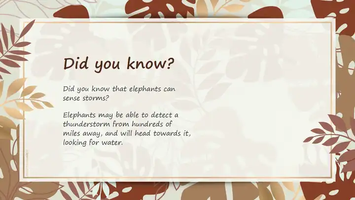 Cassidy, brown and gold leaves. Beautiful illustrated slides.