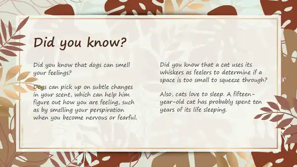 Cassidy, brown and gold leaves. Beautiful illustrated slides.