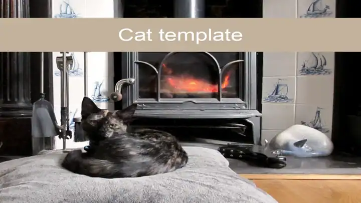 Cat Template