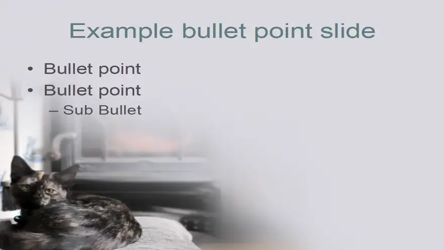 Cat Template