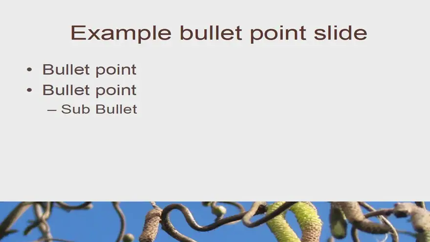 Catkins Template