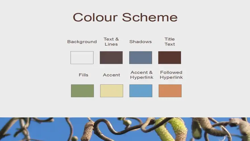Catkins Template