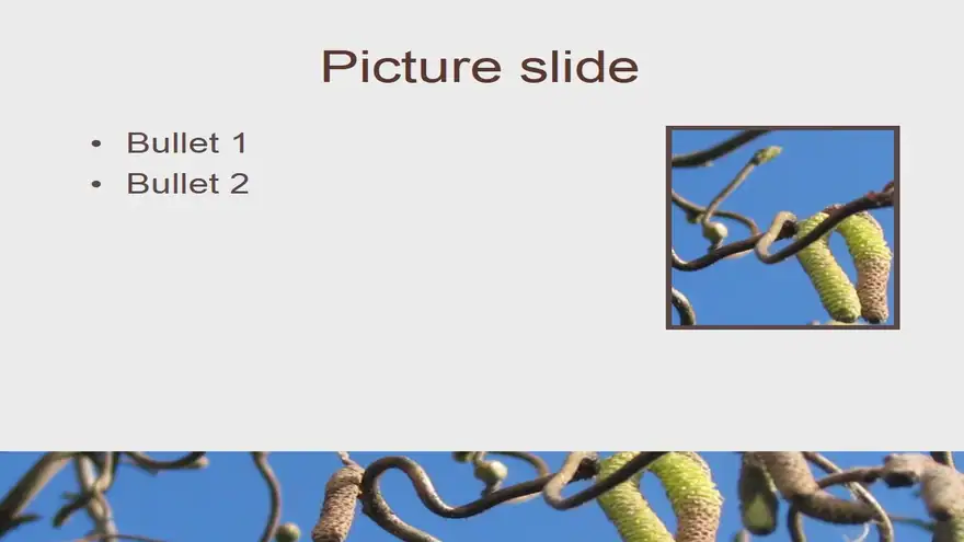 Catkins Template
