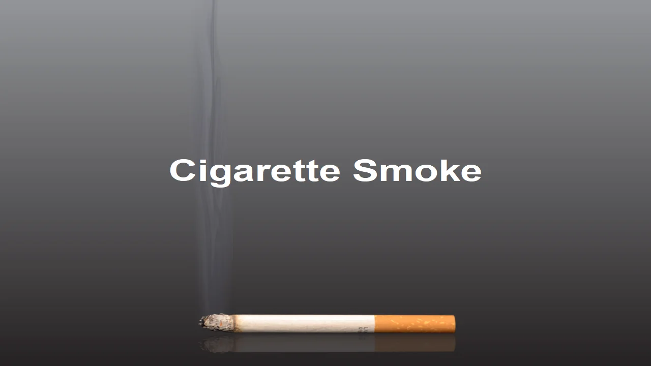 Cigarette Smoke Template