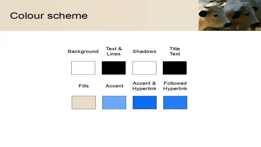 Cow PowerPoint Template