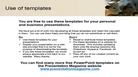 Cow PowerPoint Template