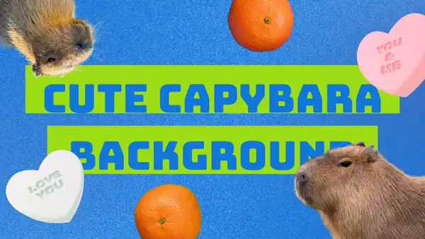 Cute Capybara Background Slides