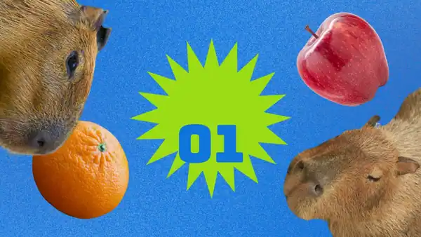 Cute Capybara Background Slides