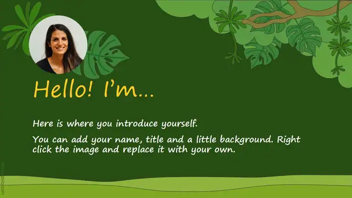 Cute Monkeys, mini theme and subtraction drag and drop activity.