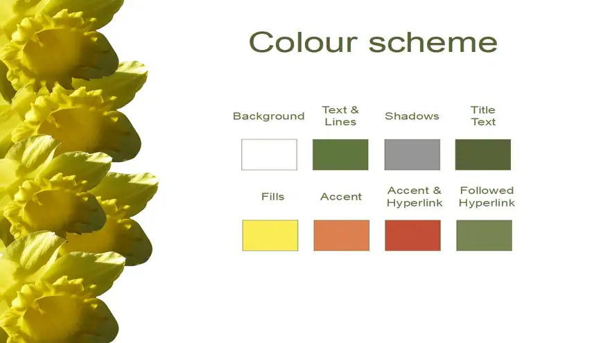 Daffodil PowerPoint Template