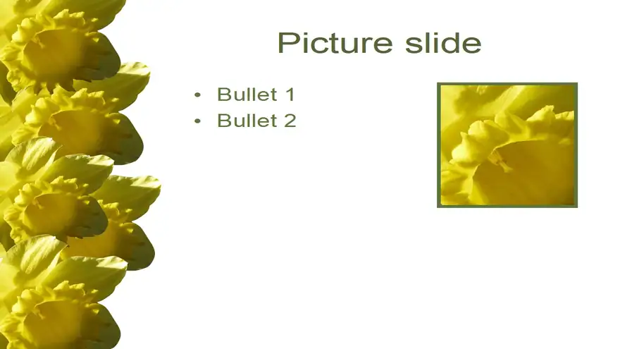 Daffodil PowerPoint Template